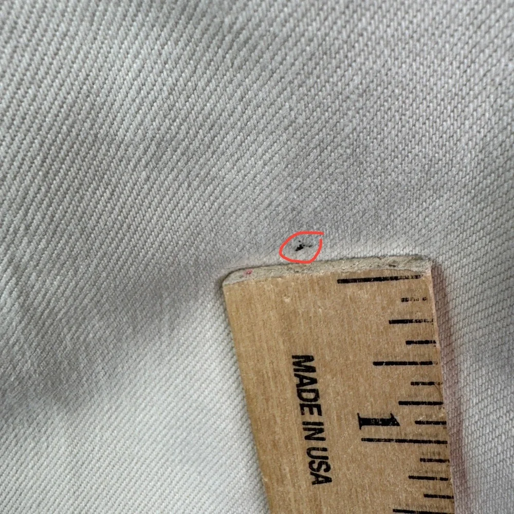 Everlane The‎ Straight Leg Crop Short Beige Womens Size 0 Classic Minimalist